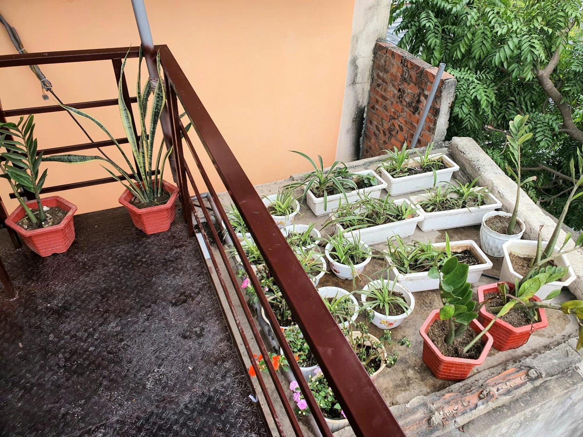 Jamerik Taco Bar - Hostel Ninh Bình Exteriör bild